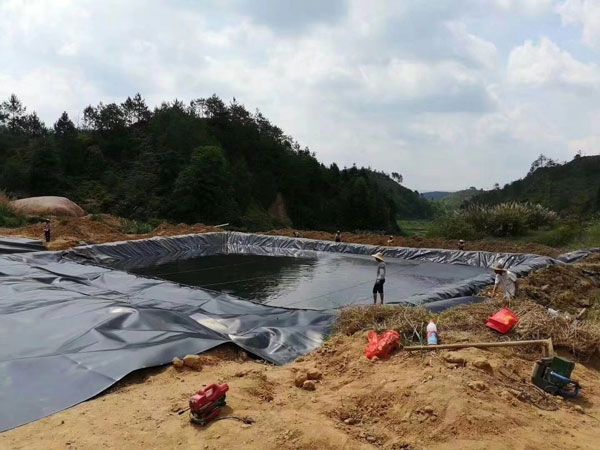 土工膜和土工布在养鱼池工程上应该怎样应用使用？