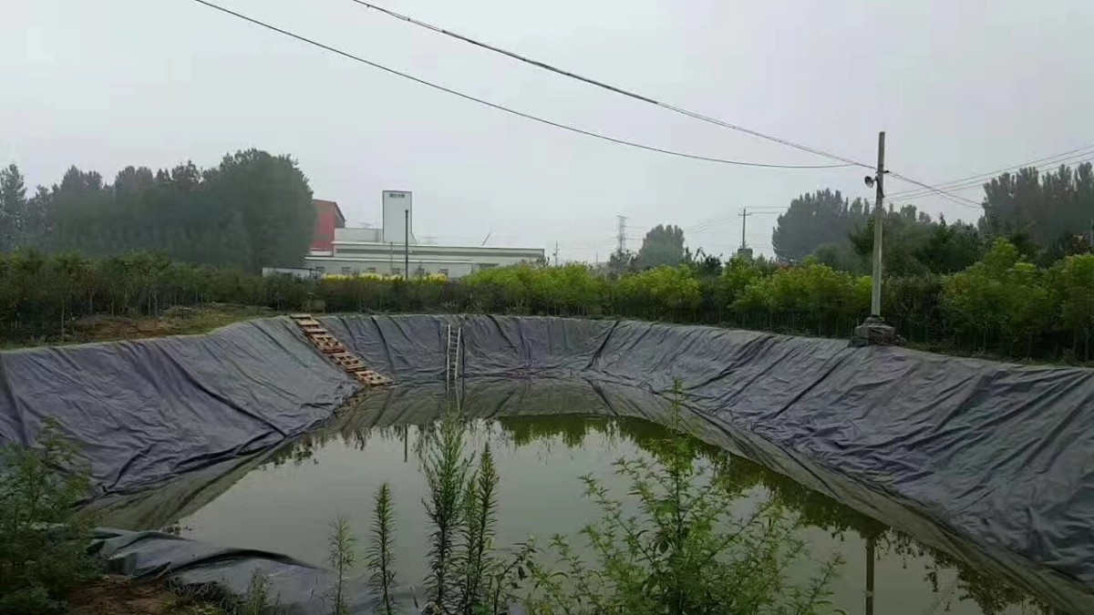 水产养殖业为何选择HDPE防渗土工膜？